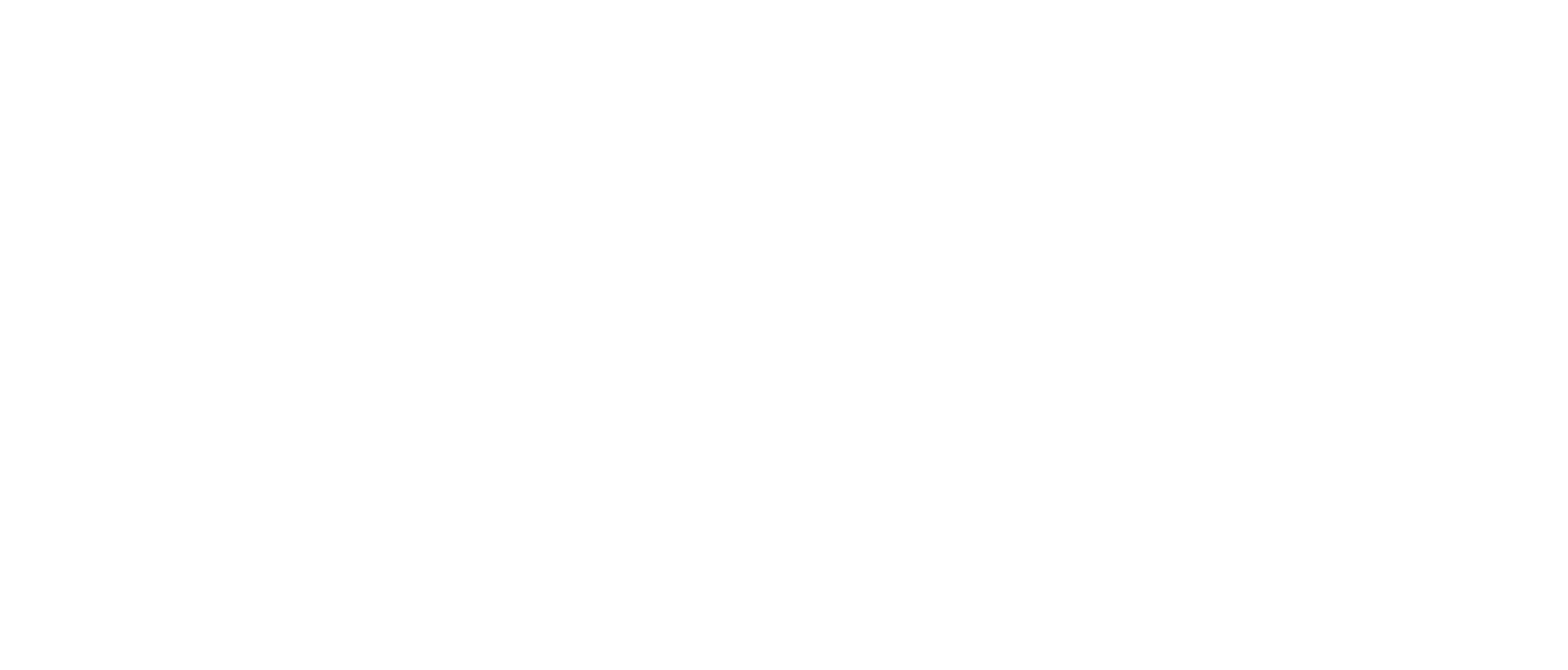 Focus Jiu Jitsu | Rua da Liberdade